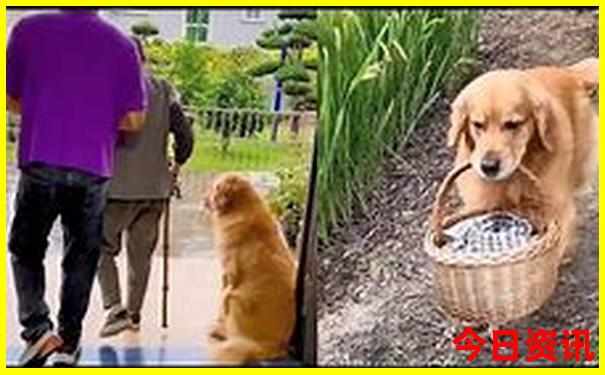 去重庆成都旅游最佳路线