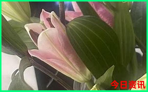 棋盘山有什么好玩的