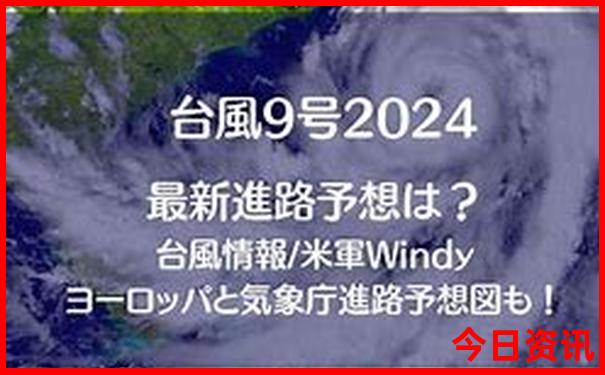 浙江美女最多的城市